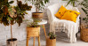 Summer 2025 Furniture Trends: What’s In & How to Style Them at Home