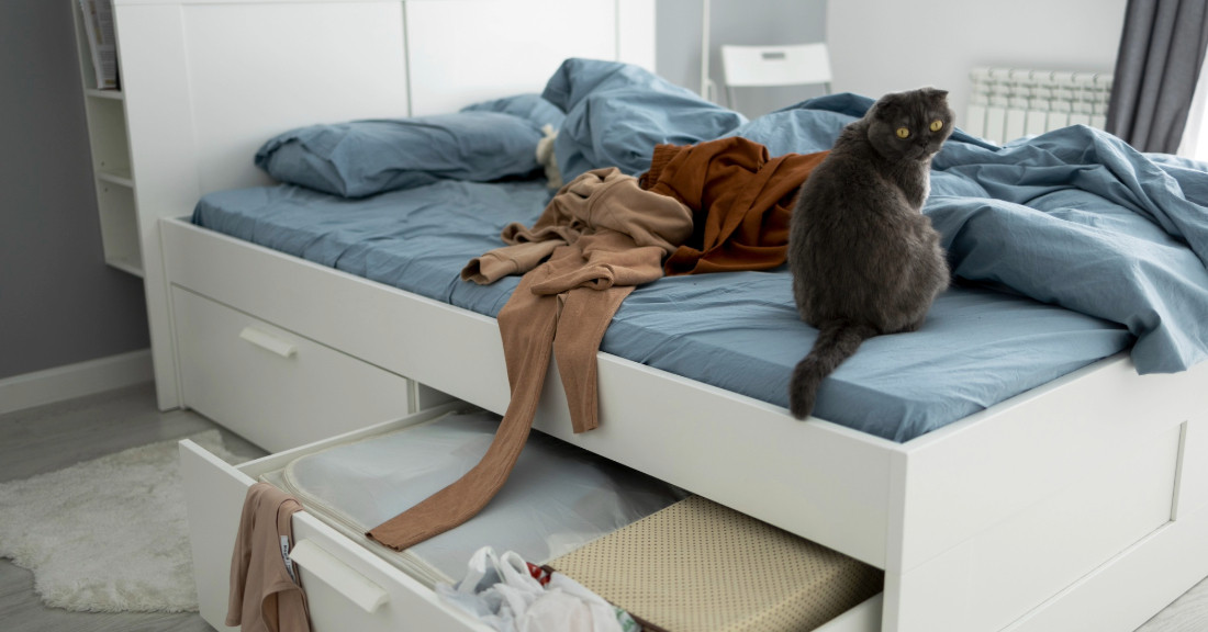 Essential Bedroom Furniture for a Comfortable and Organized Space